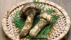 鲜松茸怎么处理清洗