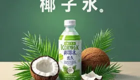 椰子汁原味是什么味道