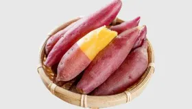 红薯和土豆哪个糖分高