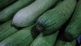 芥菜怎么腌制好吃又能存放