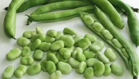 煮毛豆怎么煮好吃