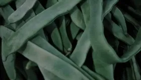 鲜豆角如何保存时间长