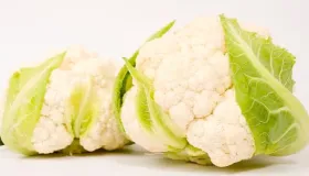 花菜上面有黑点点还可以吃吗
