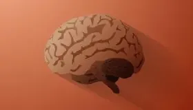 诱发脑肿瘤的原因是哪些   日常该做好哪些食疗