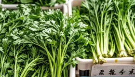 茼蒿吃多了会中毒吗