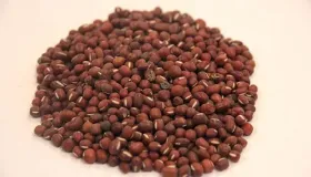 薏米和赤小豆怎么吃祛湿效果好 薏米和赤小豆祛湿多长时间有效果