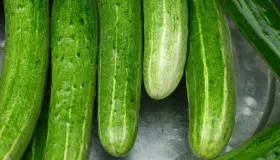 黄瓜炒瘦肉——补虚强身美容养颜排毒