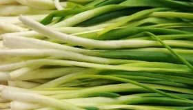 韭菜冬天能存放几天