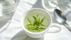 氨茶碱和多索茶碱区别