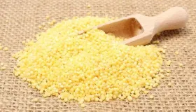 小米椒干了可以泡回来吗