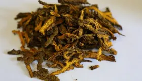 黄连清胃丸的功效与作用