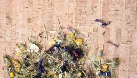 花茶可以保存几年