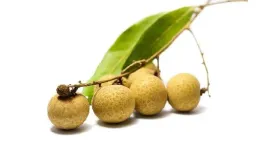 锻炼后吃什么食物容易增肌