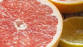 西柚是热性还是凉性