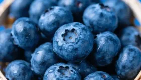 蓝莓怎么判断熟没熟