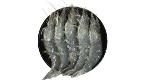 麻虾是海虾还是河虾