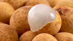 新鲜龙眼吃多了上火吗