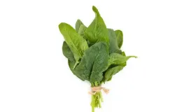 菠菜吃了长结石吗