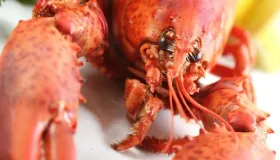 煮海鲜需要放什么调料好吃