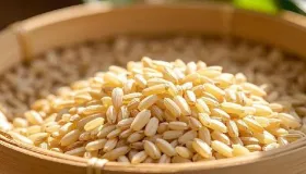 糙米直接蒸米饭可以吗