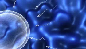 精子发黄结块是什么原因