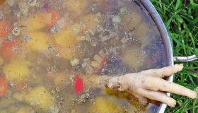 菌菇炖鸡汤怎样炖才好喝