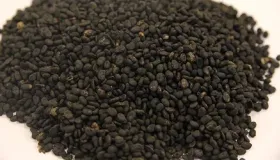 补骨脂的功效与主治