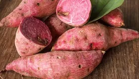 蒸紫薯是冷水蒸还是热水蒸