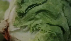 老年人吃什么菜补钙