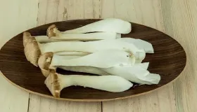 增强免疫力最好的菌类