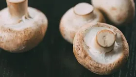 蘑菇放冰箱还是放外面好