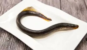 鳗鱼的嘌呤含量高不高
