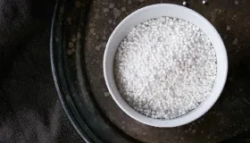 西米露的营养价值
