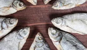 秋冬季喝这五种养生粥 胜过吃补品