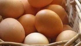 空腹可以吃鸡蛋吗早上