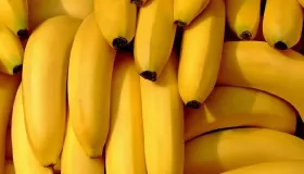 香蕉切开不变黑的方法