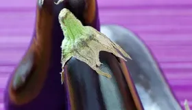 茄子芯发黑色是坏了吗