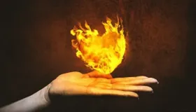 经常12点才能睡着，三味药泡茶喝，竟然解决了