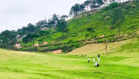 治疗手脚麻木的好办法