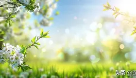 眼干眼涩要养肝，小腿抽筋要养肝，脱发要养肝，睡眠不好要养肝