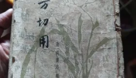 治疗上热下寒5个方子