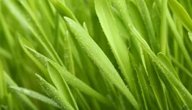 18个小方的妙用。