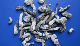 奇奇怪怪的中药——十个粪便药