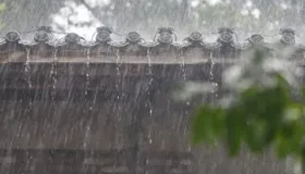 湿气形成的根本原因竟然不是脾虚