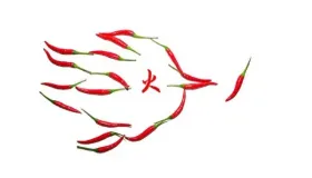 心火旺难入睡，肝火旺头痛易怒，肺火旺咳嗽咽痛，胃火旺口臭……