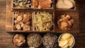 肺咳、肾咳、肝咳、心咳、脾咳、大肠咳、膀胱咳、胆咳、胃咳