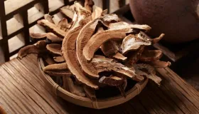 治疗高脂血症的6种方药