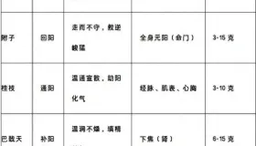 守阳用干姜，回阳用附子，通阳用桂枝，补阳用巴戟天，升阳用柴胡