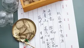 11种风病肺风、心风、肝风、肾风、胃风、首风、漏风