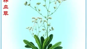 在民间收集的25个小偏方。